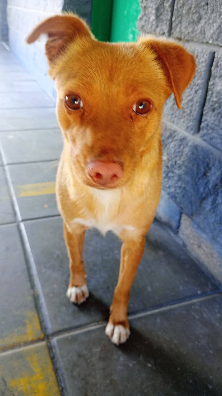 597837585_1242220324423005_5137749838822327932_n