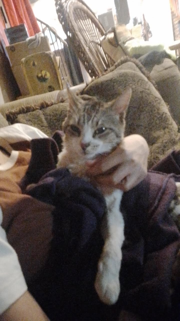 597912404_880546941089392_3103820834494587282_n