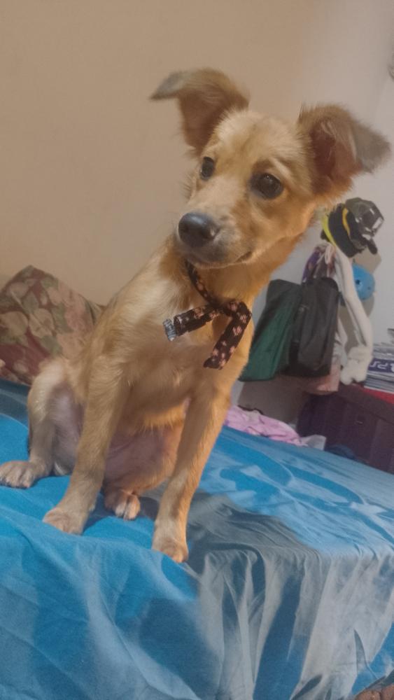 598285825_1502750994155669_7414757369007276203_n