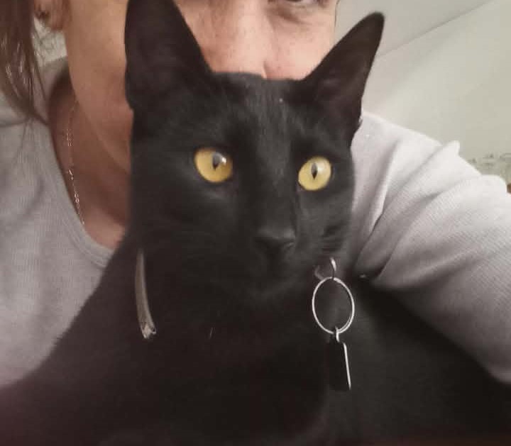 601573672_1586126792601995_5539998143237876322_n