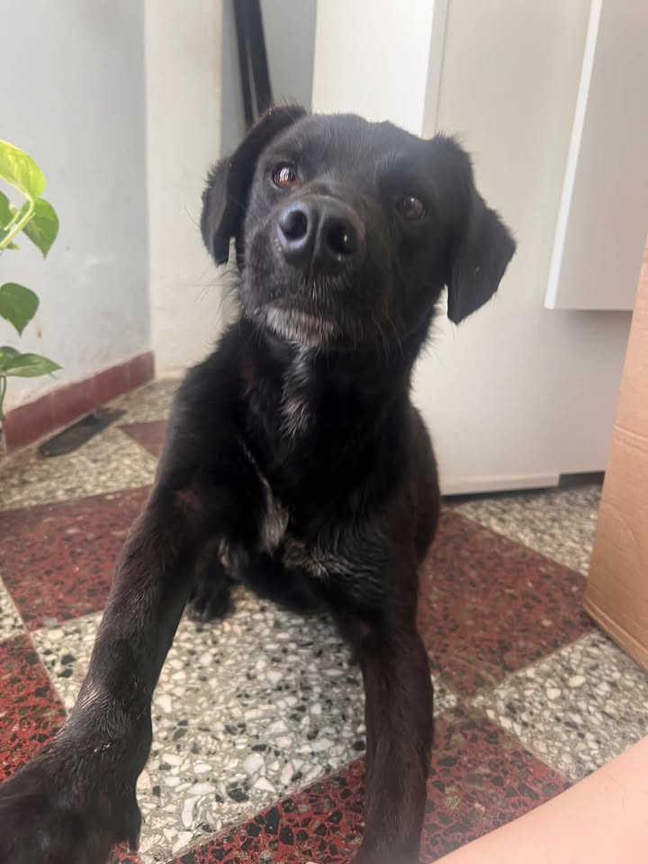 605878960_2070532947058342_2295732464883261121_n