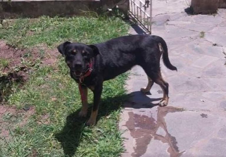 607254731_1387532322749972_3860296970843404671_n