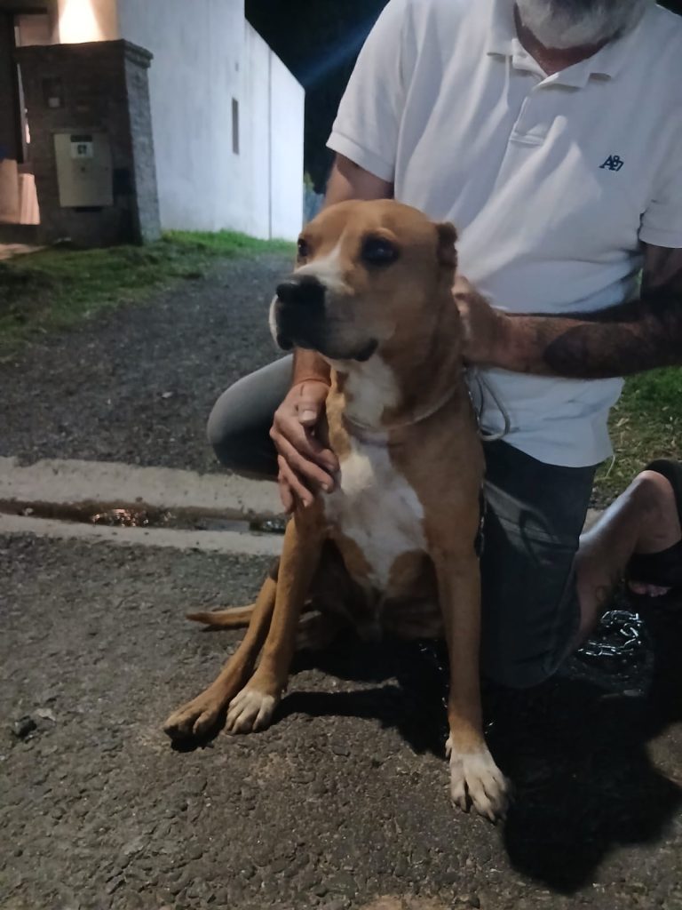 WhatsApp Image 2025-12-01 at 11.46