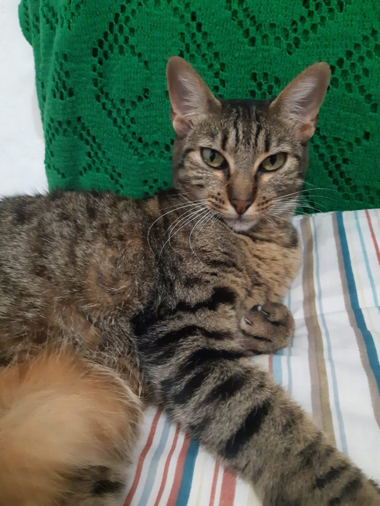 WhatsApp Image 2025-12-01 at 12.33