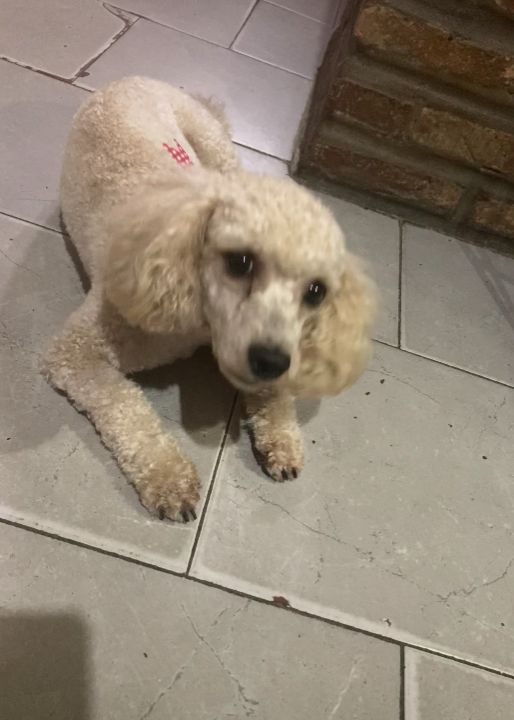 WhatsApp Image 2025-12-02 at 09.49