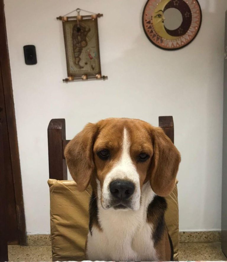 WhatsApp Image 2025-12-02 at 10.04