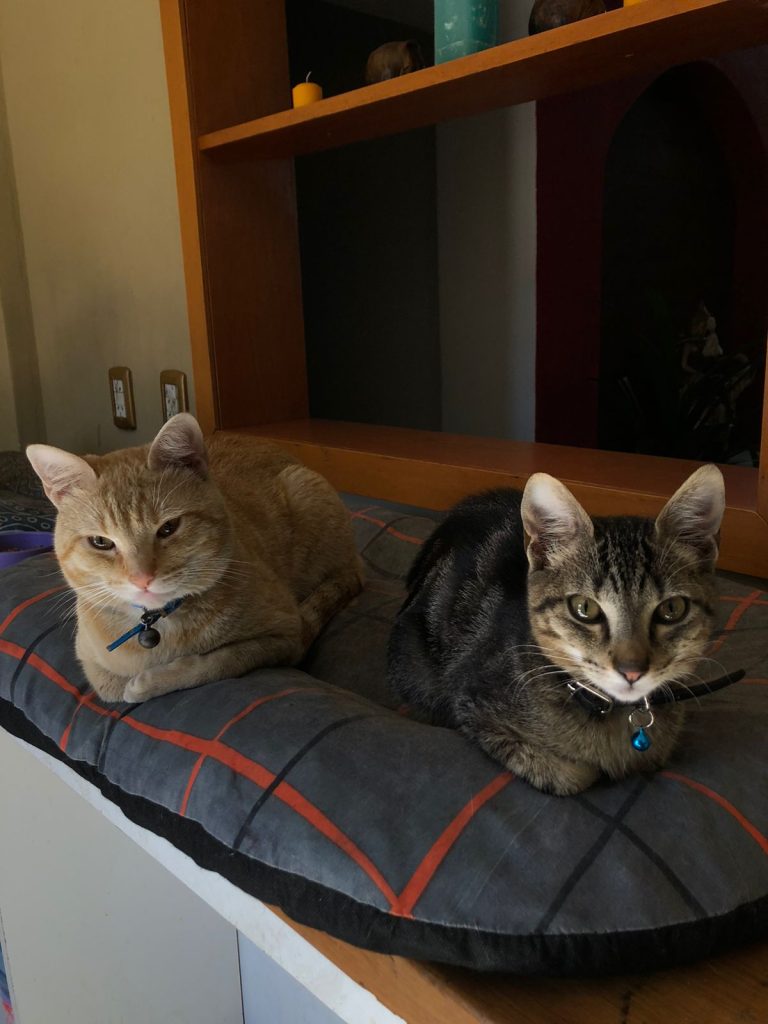 WhatsApp Image 2025-12-02 at 12.53