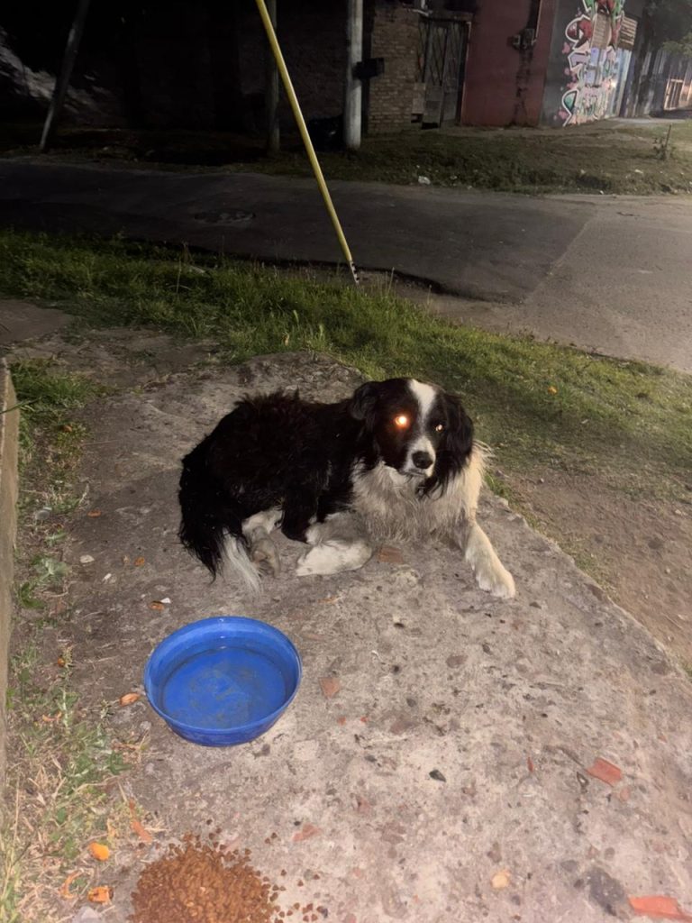 WhatsApp Image 2025-12-09 at 20.46