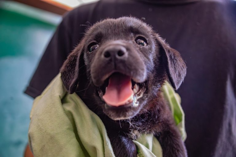 WhatsApp Image 2025-12-11 at 12.40