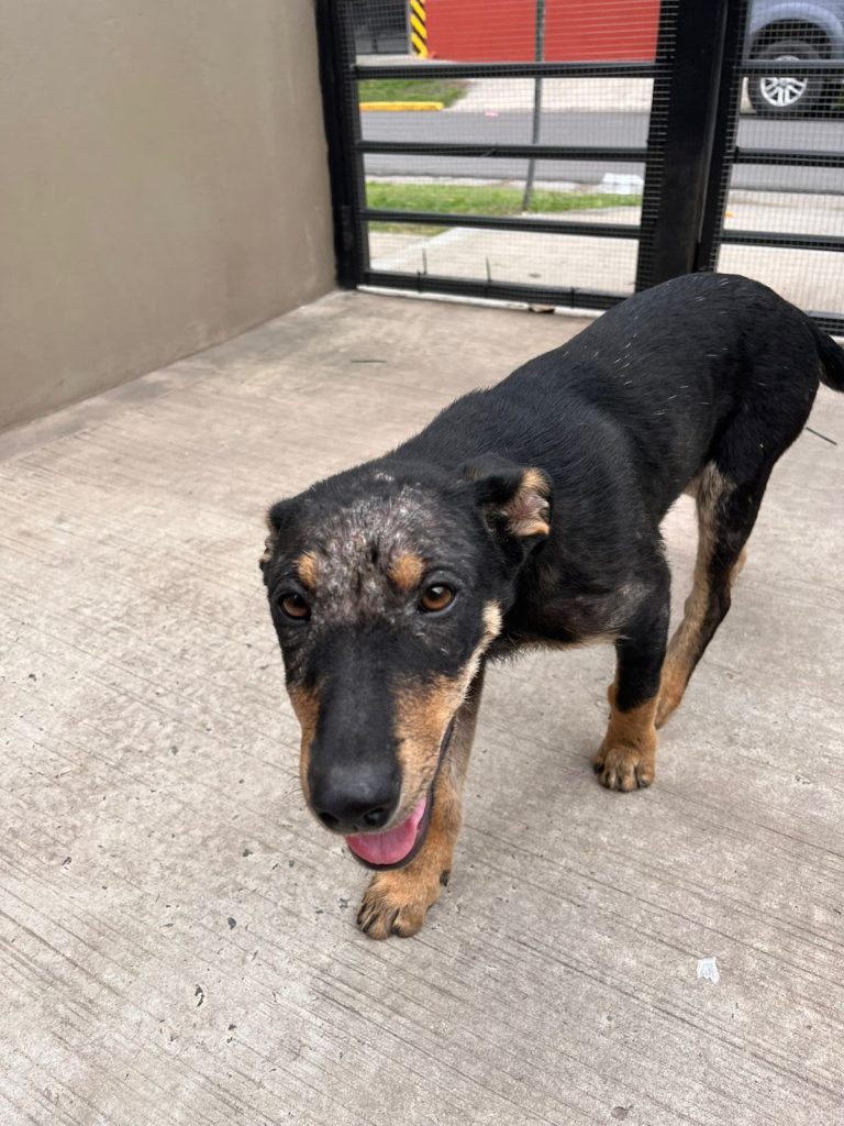 WhatsApp Image 2025-12-11 at 14.48