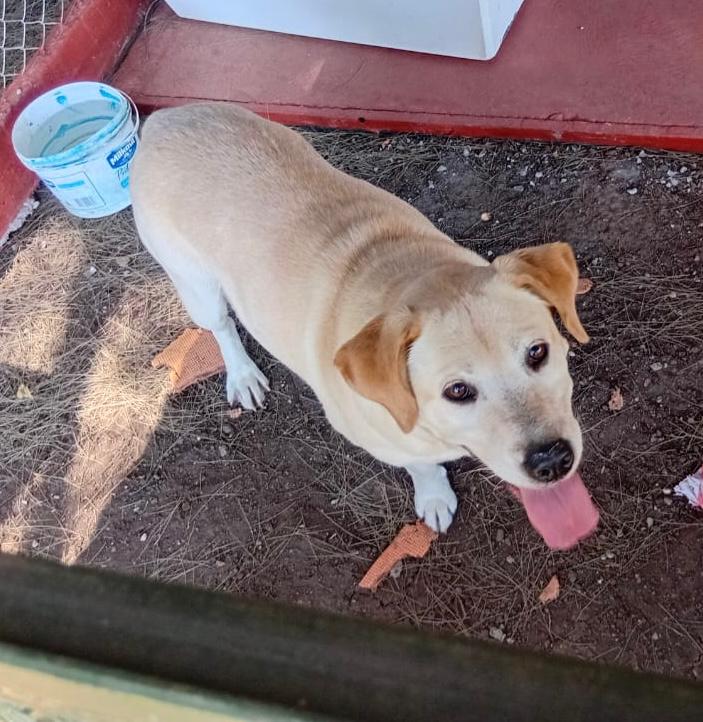 WhatsApp Image 2025-12-19 at 10.36