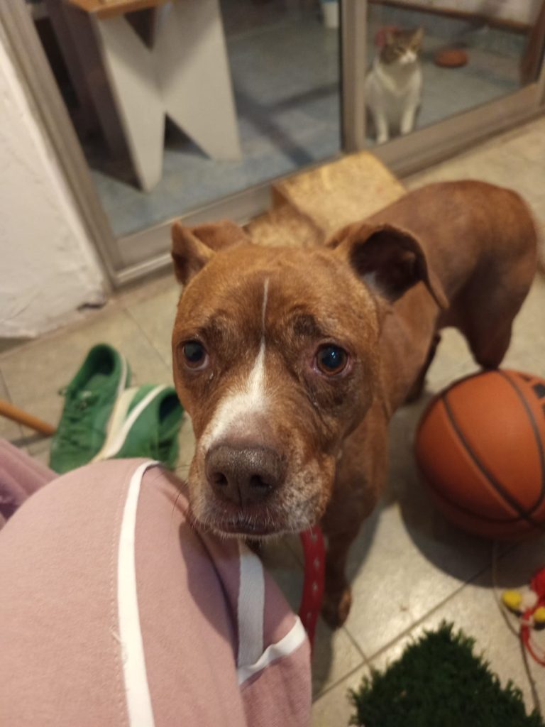 WhatsApp Image 2025-12-19 at 15.24