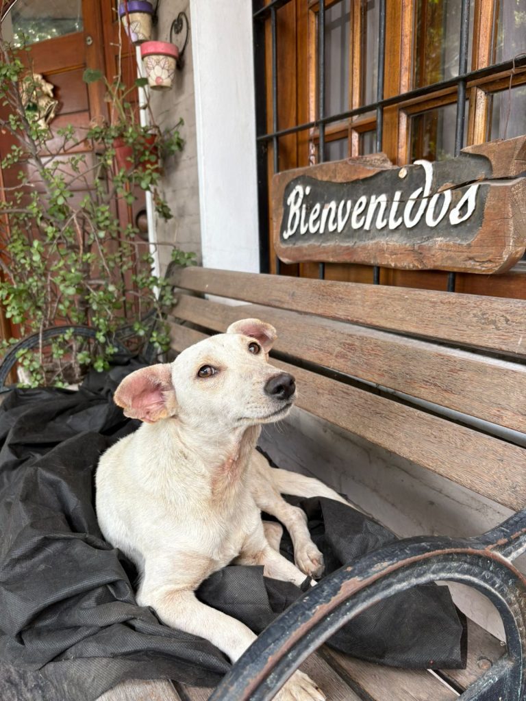 WhatsApp Image 2025-12-22 at 09.48