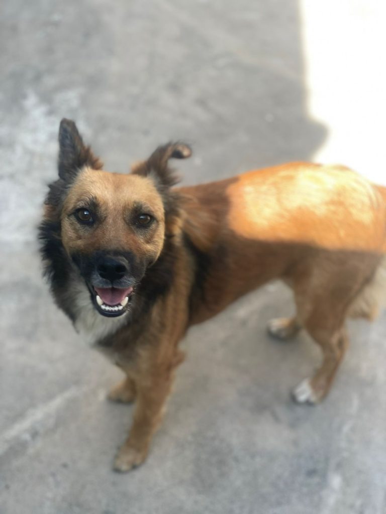 WhatsApp Image 2025-12-29 at 10.01