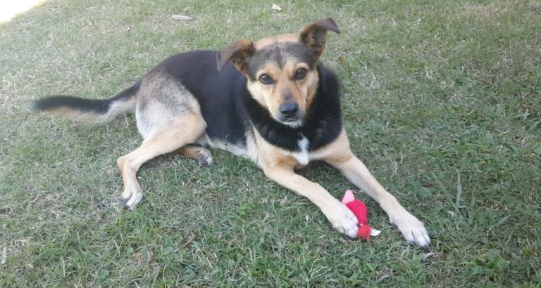 WhatsApp Image 2025-12-30 at 09.29