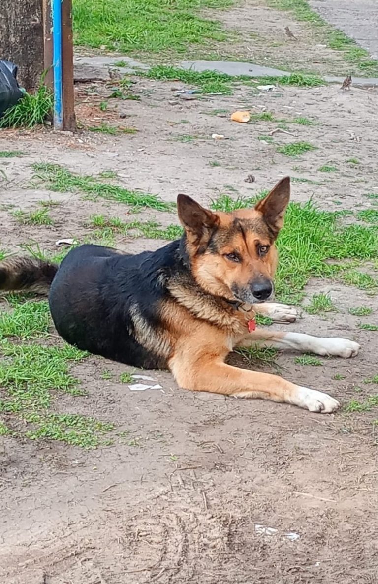 d741877e-14bd-401a-bef2-aaf0b7384f06