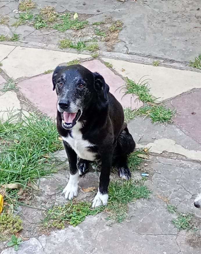 de9865fe-c950-48c4-ba4a-454058b551bc