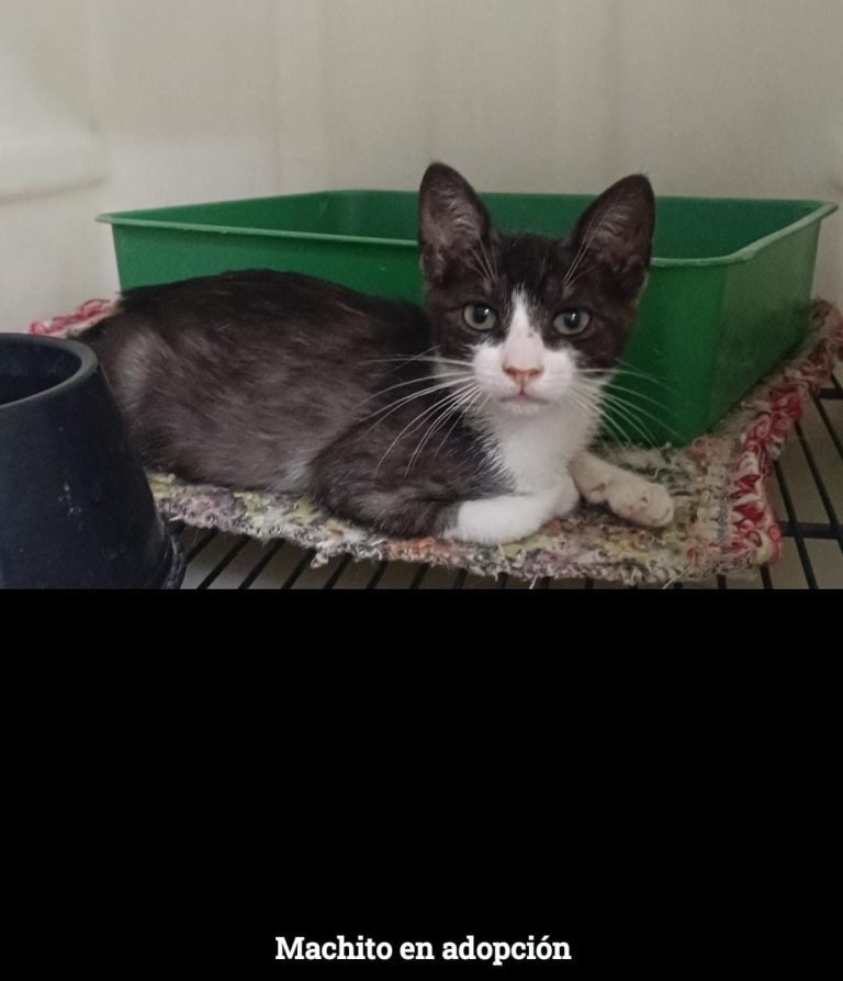 20820776-bb35-4339-ab69-36474ca4c046