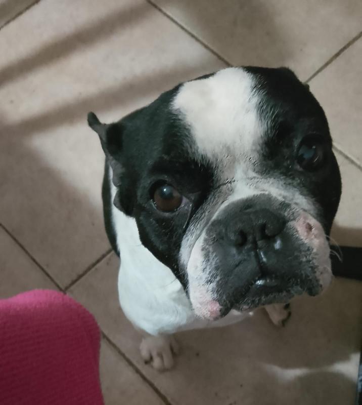 597195507_1052307410354408_1857469304029311624_n