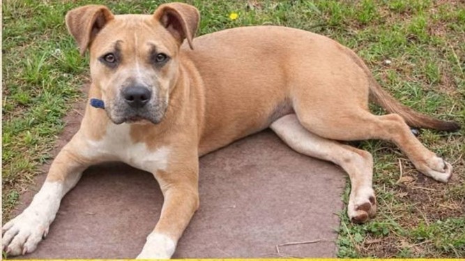 598034565_885065543937680_7944190647558042496_n