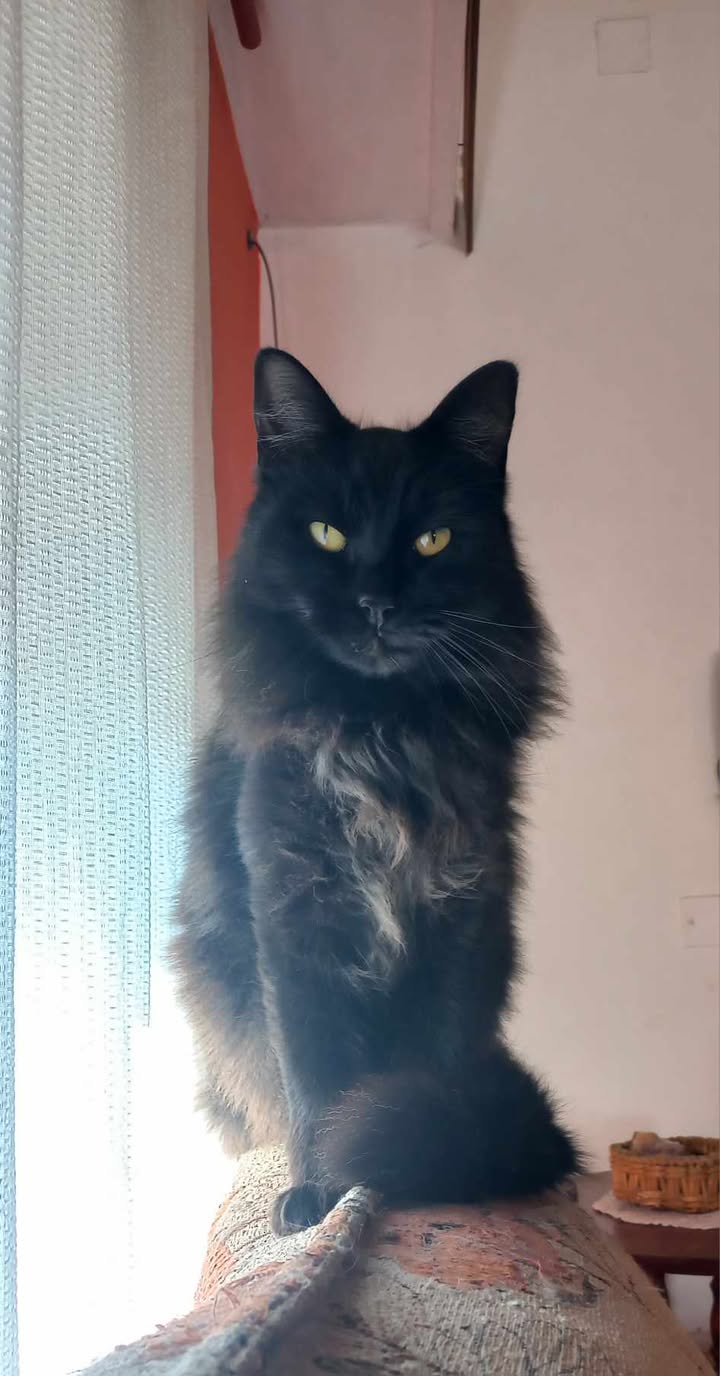 606498761_694428183600707_8187368529743014368_n