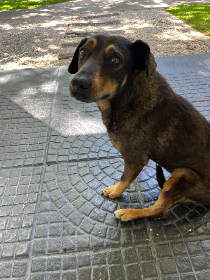 607042263_1925538891698460_3316641095753765340_n