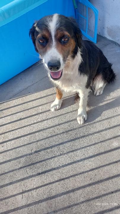 607276947_26571612589095096_8335555481658144032_n