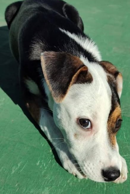 608099249_1543004920287250_8145270873166276467_n