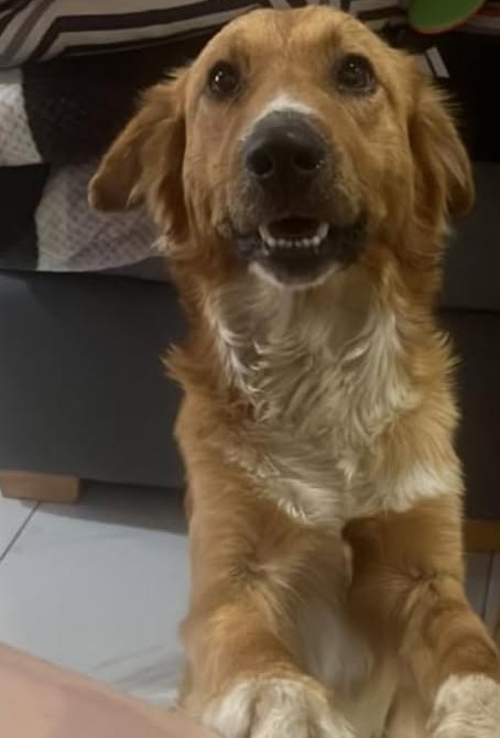 608722318_1999578317285008_1088910232899721568_n