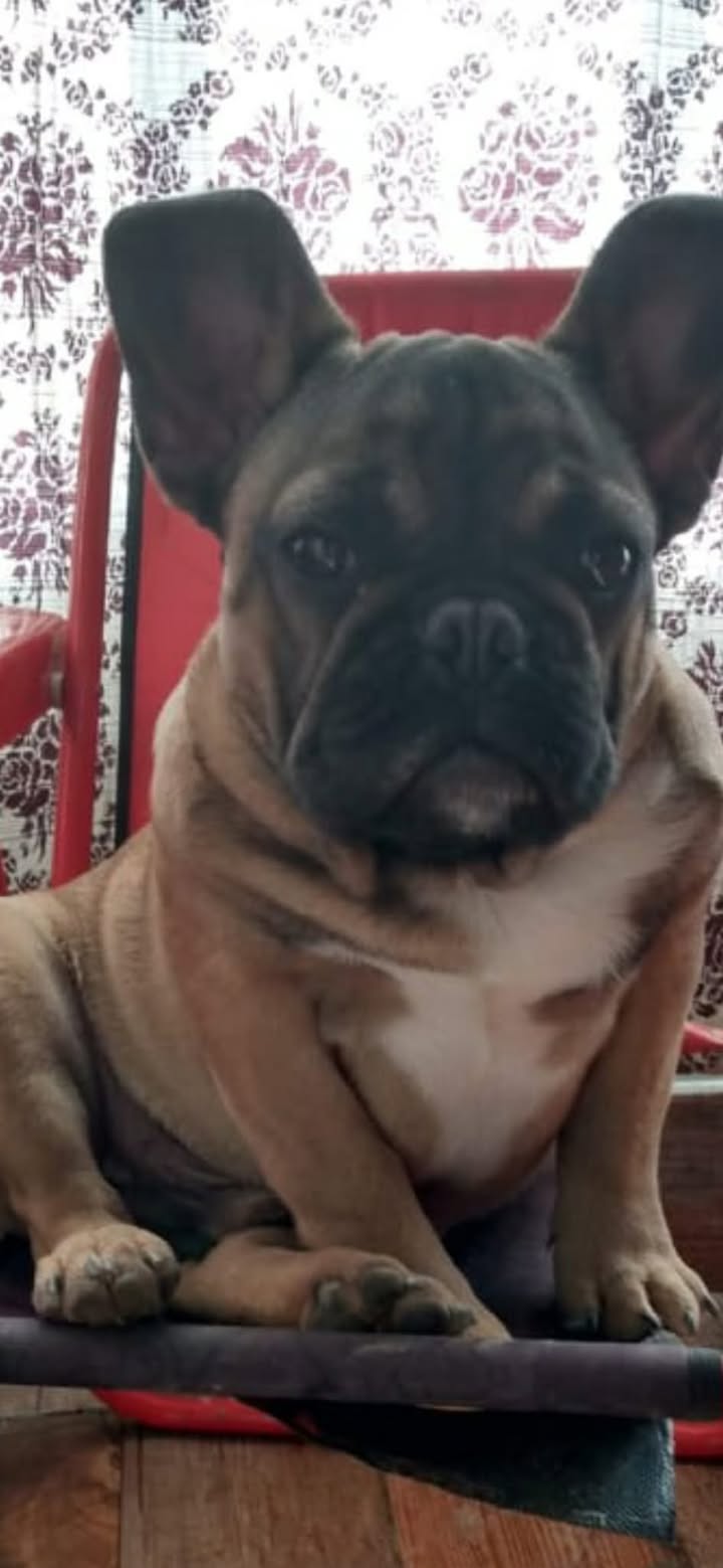 609071327_1560484485282779_4423193078376595209_n