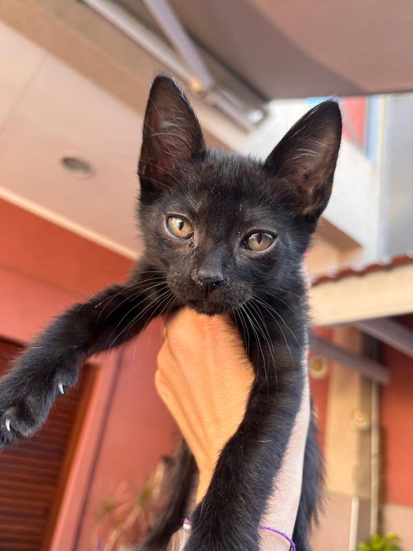 609185139_1192268899678033_3415422567832125749_n