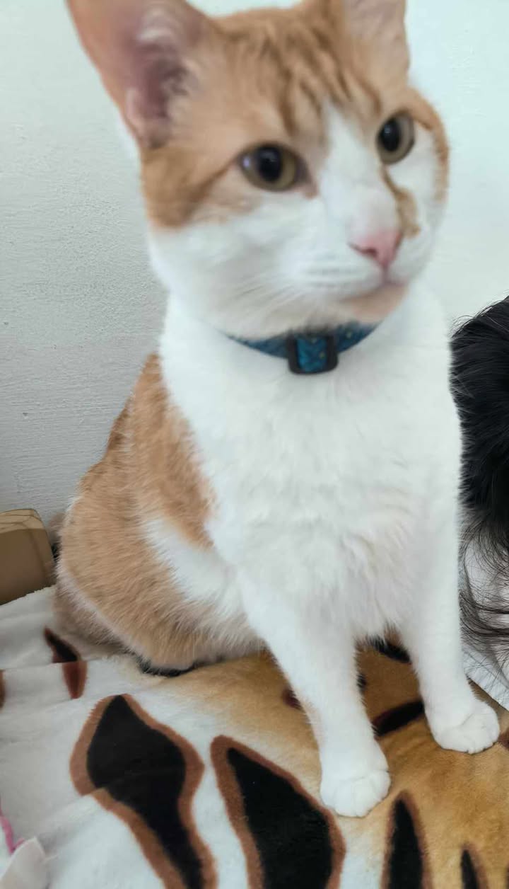 609834016_1214459710024831_8479382698316813055_n