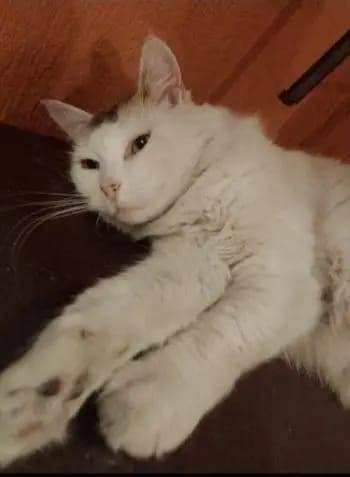 610464137_1393184315599860_1968880400929515682_n