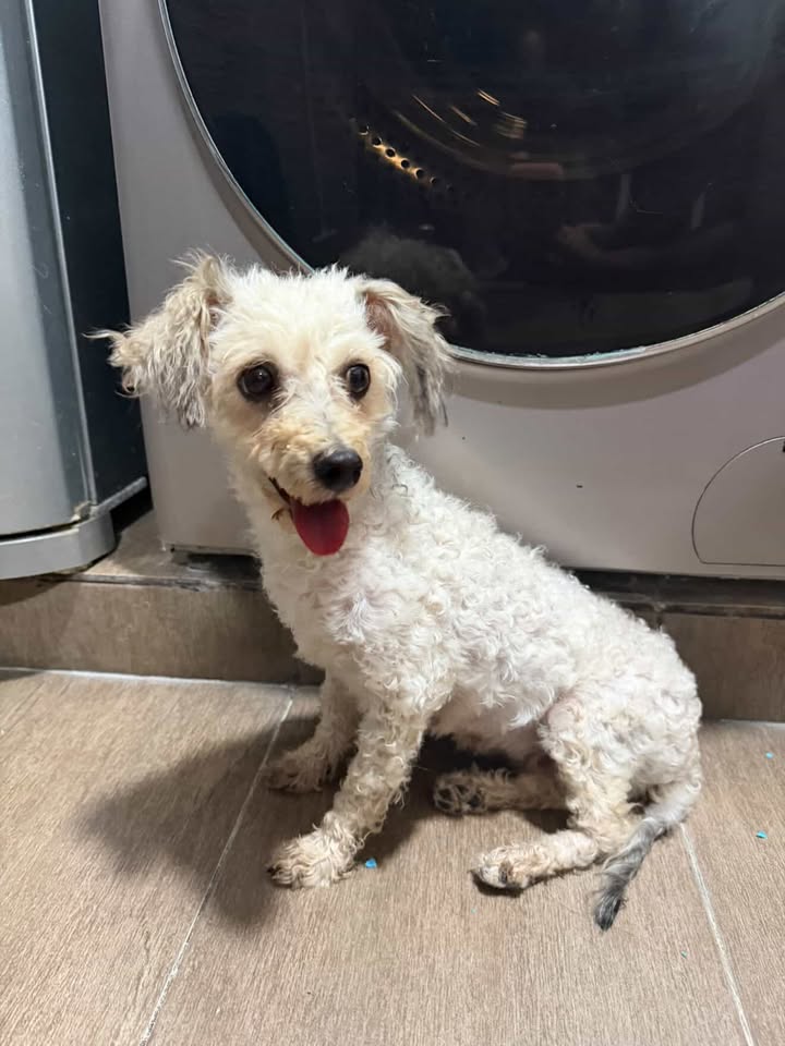 610549286_2141860159695327_7140500221412117901_n