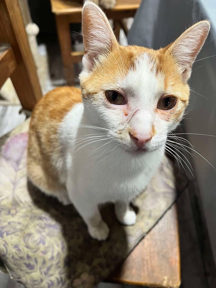 610743749_1955698001995173_5826099596256007428_n