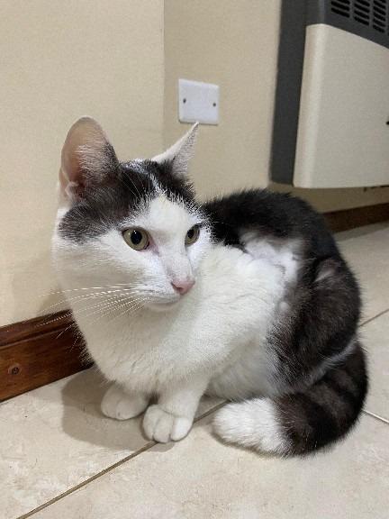 610917764_1189282919998601_2497150322016399240_n