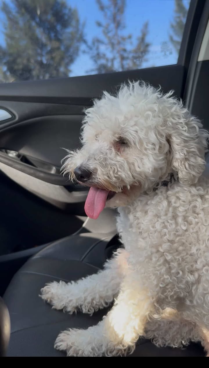 611607203_918591463837786_6476015807795238489_n (1)