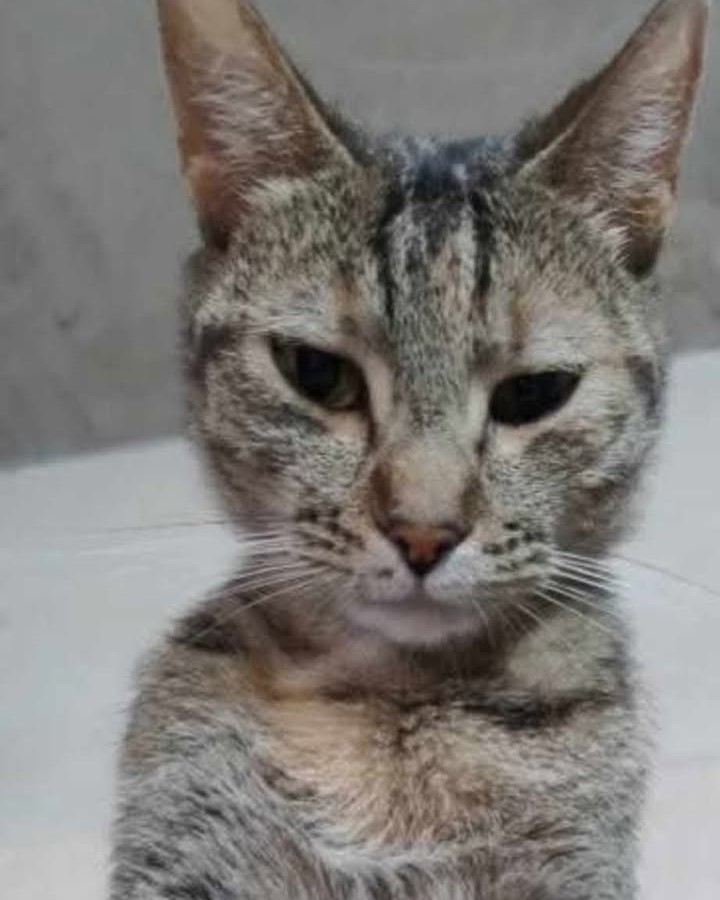 611626744_903424582186243_2317243517329234937_n