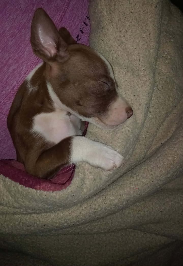 611726489_1749940912352460_2582891164290107680_n