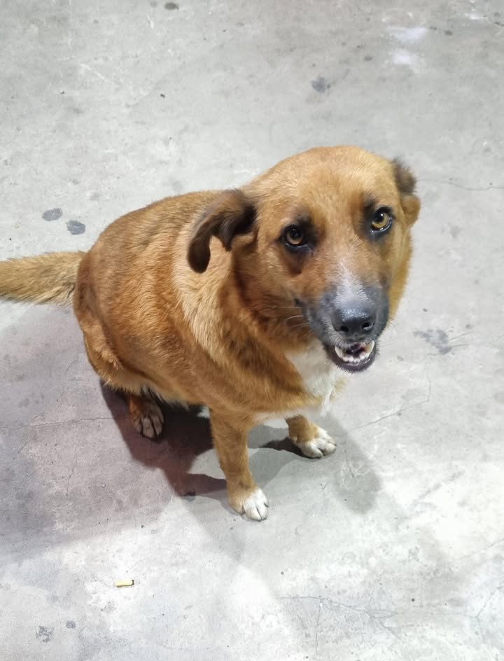 611814617_893576866525477_2497522144359179628_n (1)