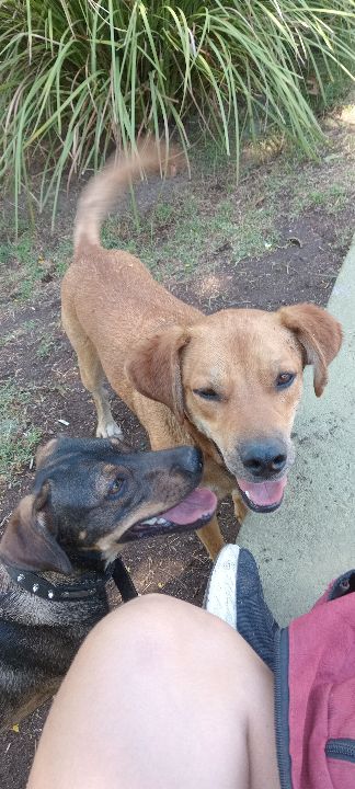 613992643_851585911115823_3324544278395417616_n