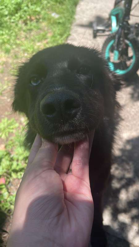 614563527_1572478070742631_4694128443332172310_n