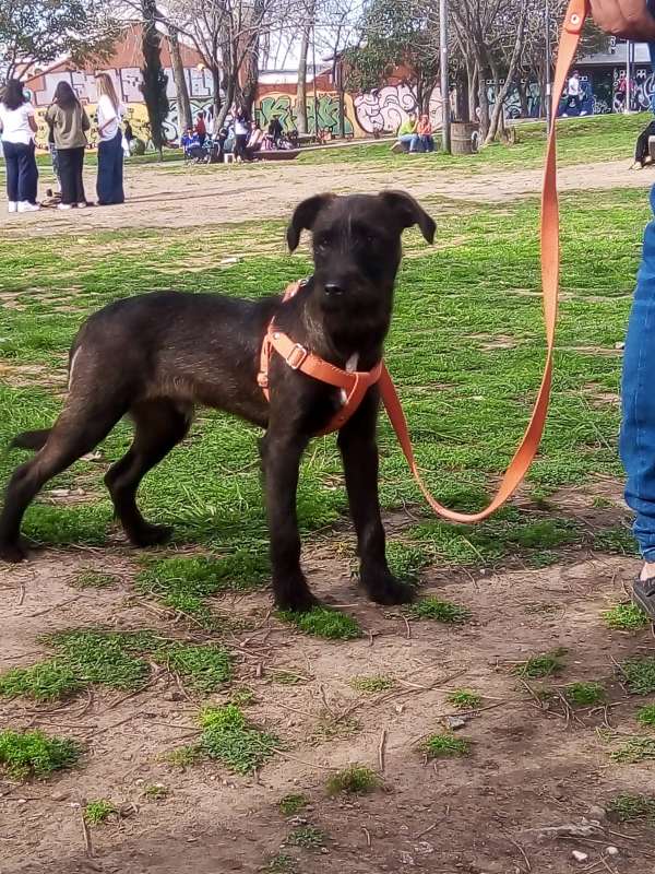 614572516_1199592785634370_6978780897368788098_n