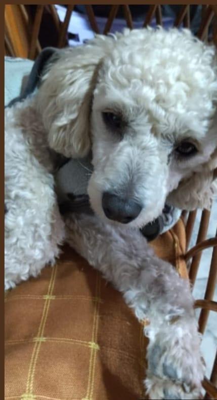 615284872_1438105637913831_2101312199027424895_n