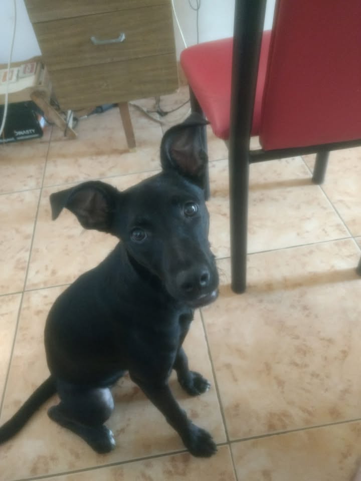 616860234_890313553544226_1507157539668063128_n