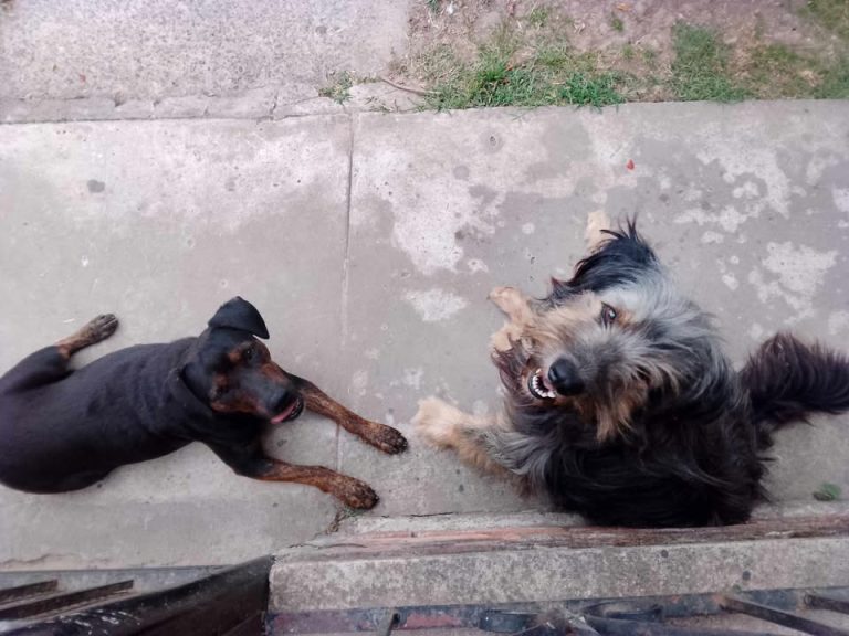 618350345_906333545410949_4831612898493347238_n