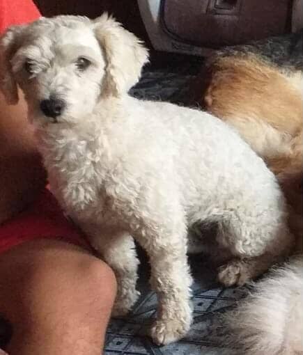 618851473_2123172348089043_6197100093720592088_n