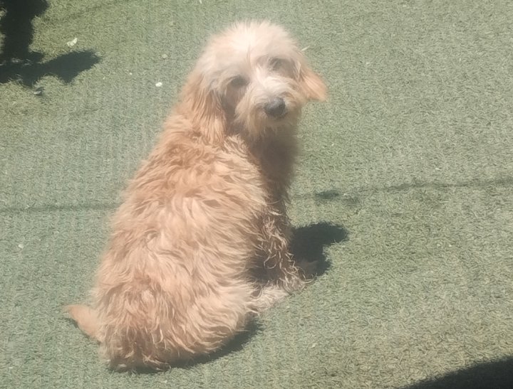 619145783_922555966913884_1753287701178959717_n