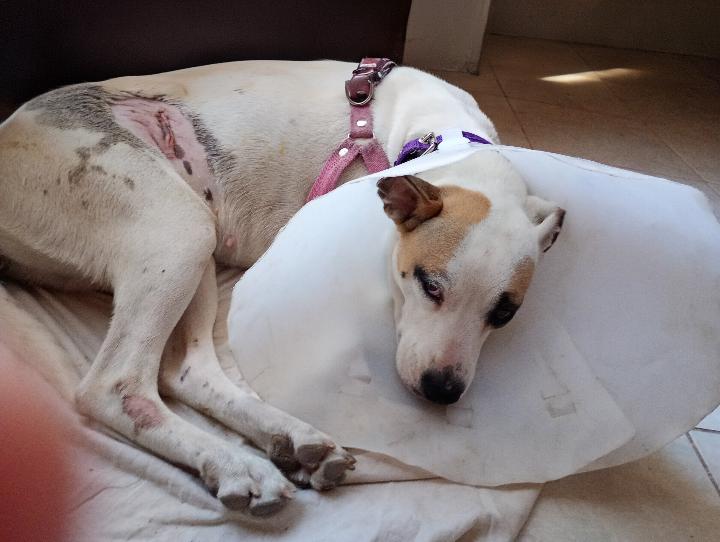 620220181_1425838212541889_6353829215453099770_n