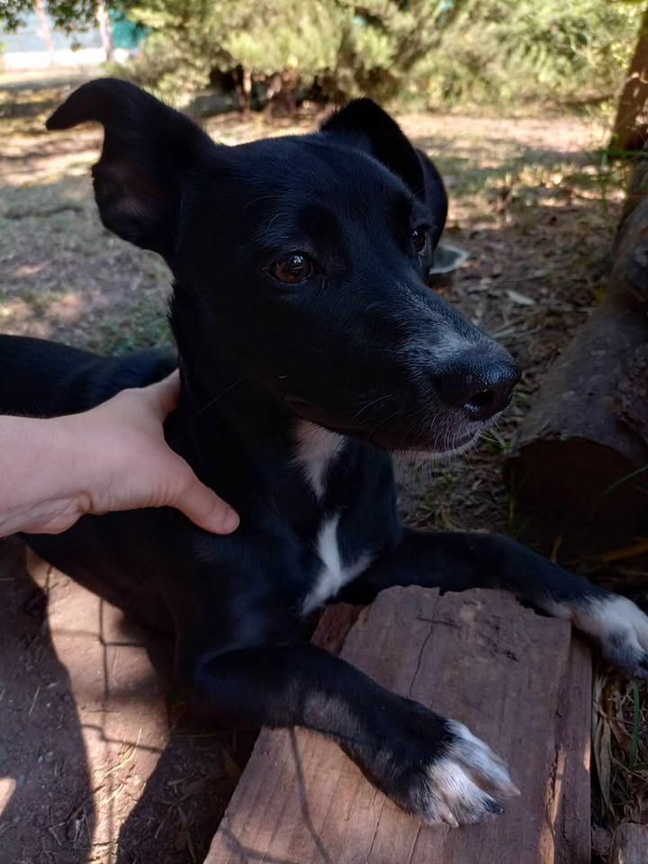 620506862_879830741317344_383263234040379628_n